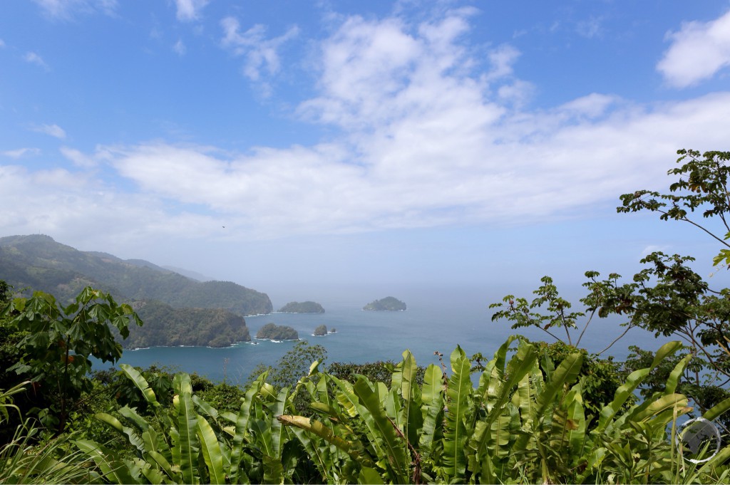 North coast of Trinidad from Maracas lookout.