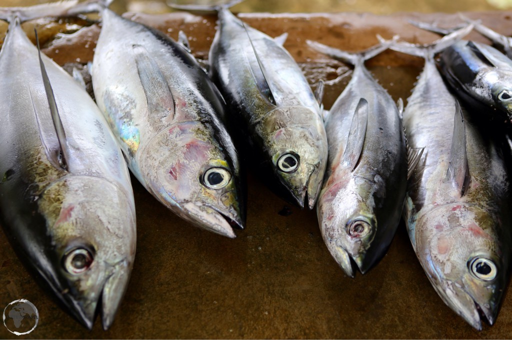 Tuna for sale art a Fish market on Tobago.