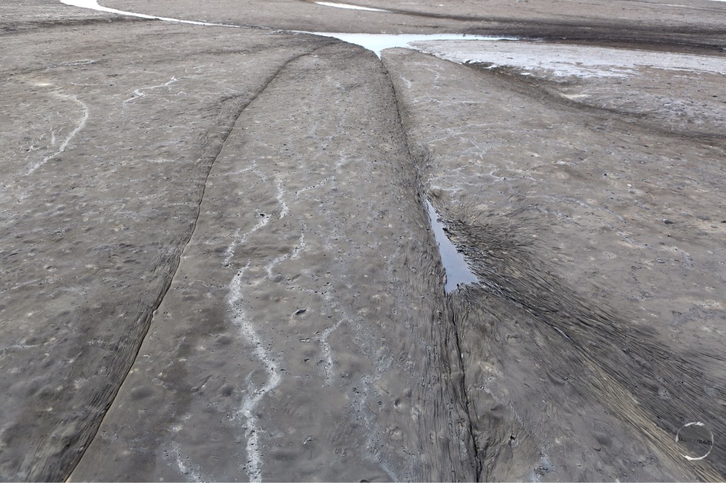 The gooey surface of the incredible, 70 metre deep, La Brea pitch lake.