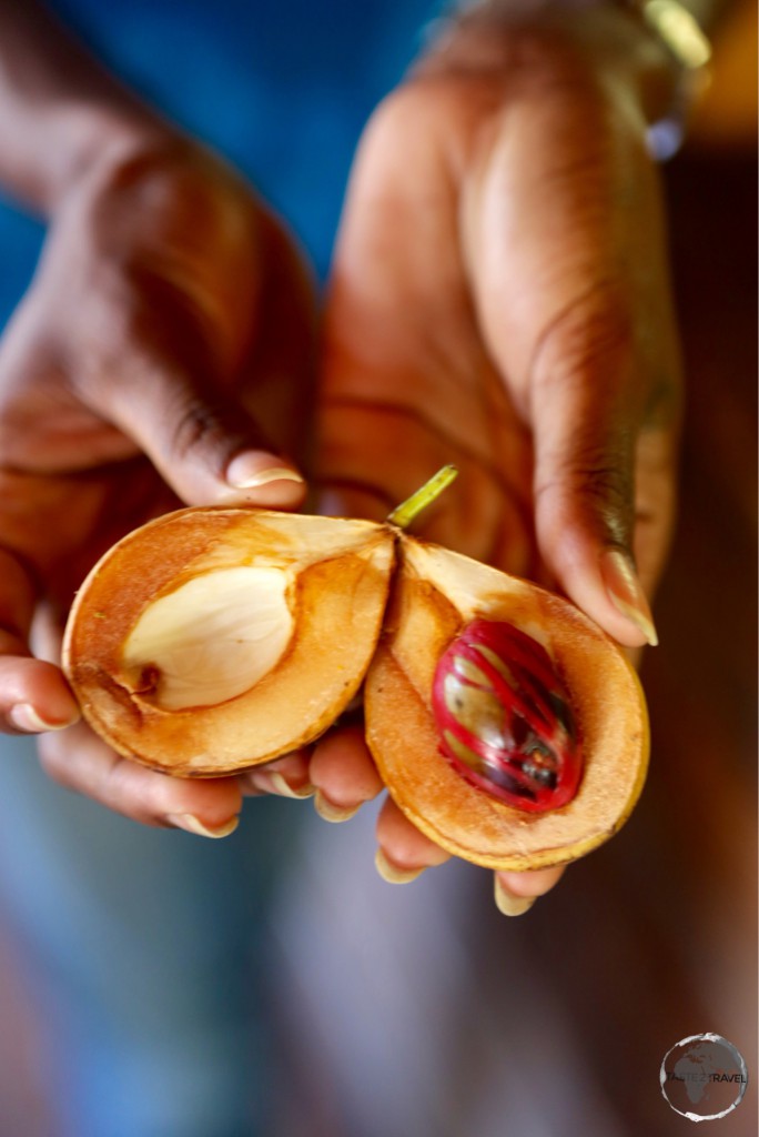 The island’s number one export – nutmeg.