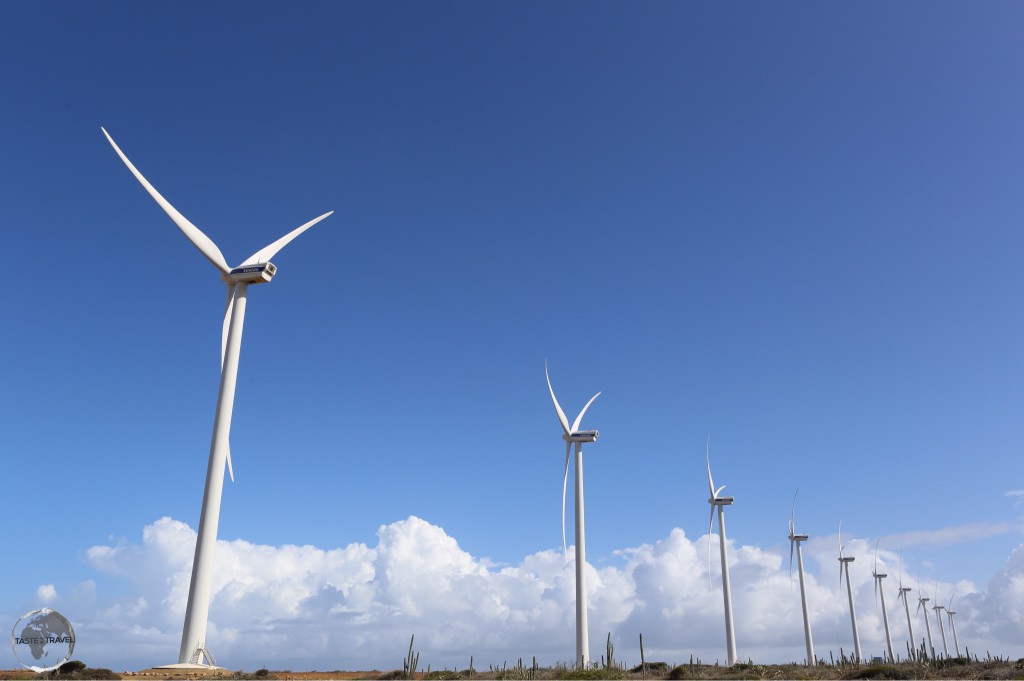 Wind turbines at the Vader Piet Wind Farm.