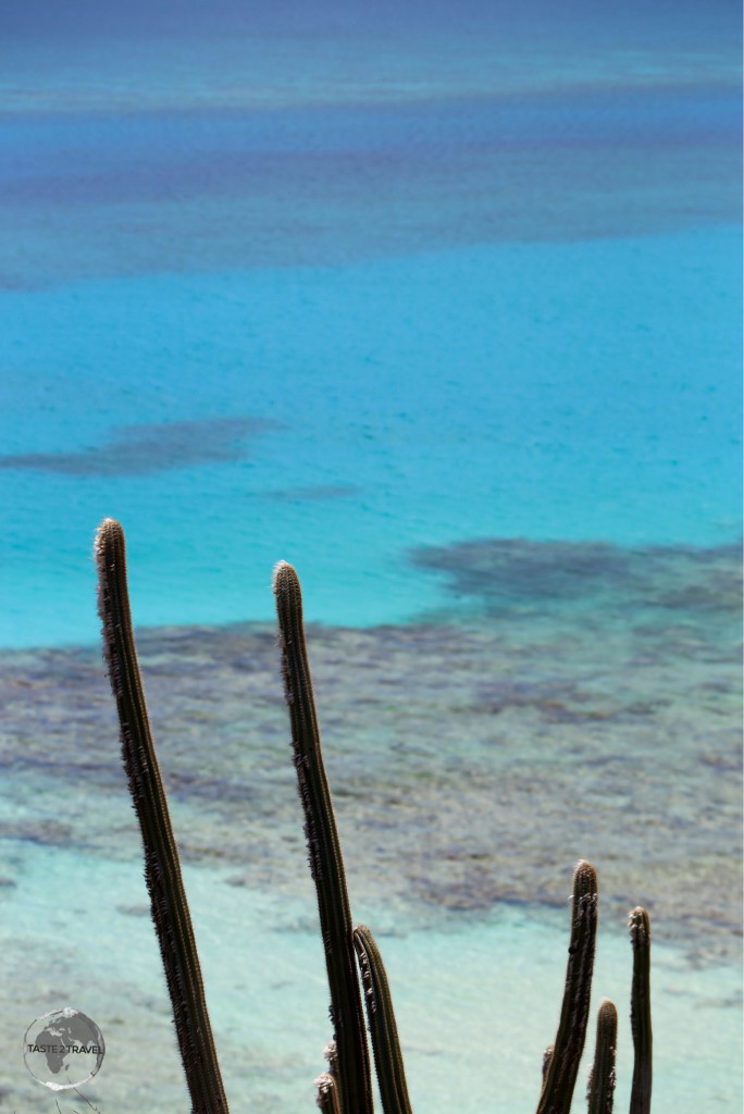 Beach on Virgin Gorda Island, BVI.