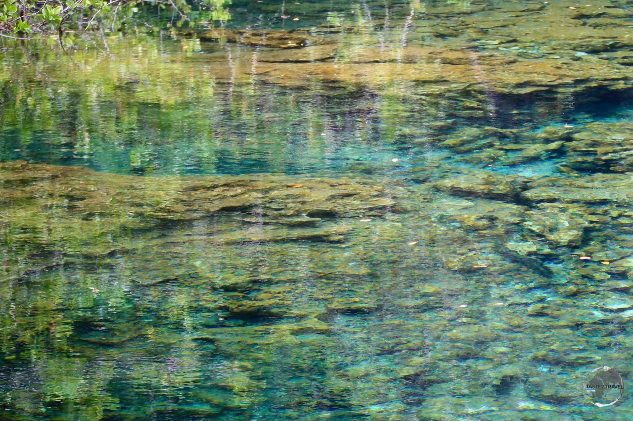 Natural springs in the 'Indigenous Eyes National Park', Punta Cana
