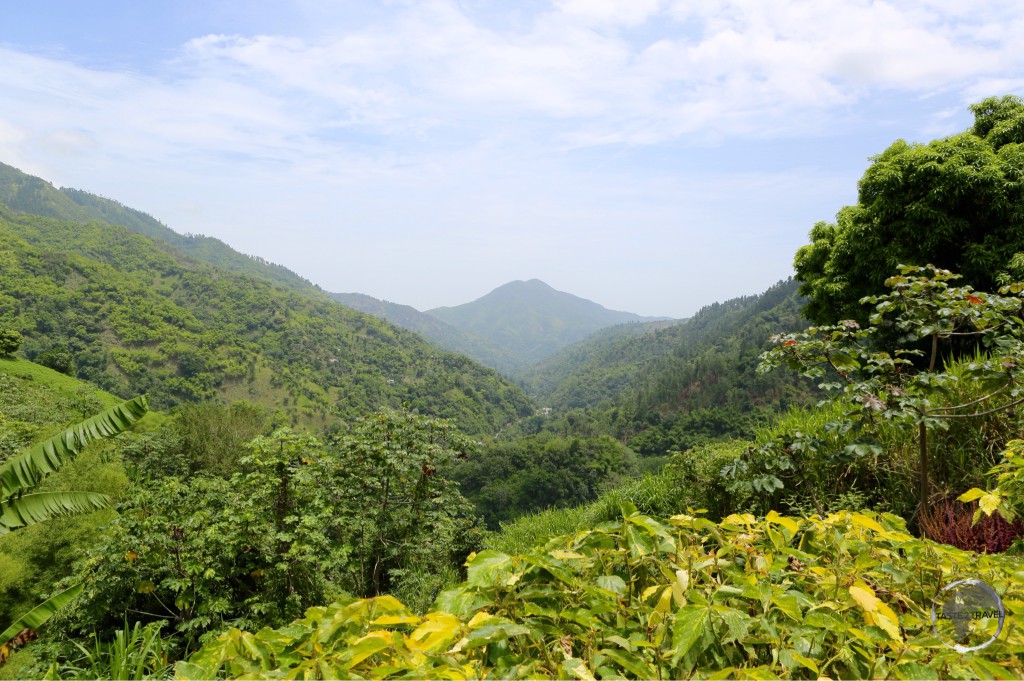 Blue Mountains, home to Jamaica’s famous coffee farms.