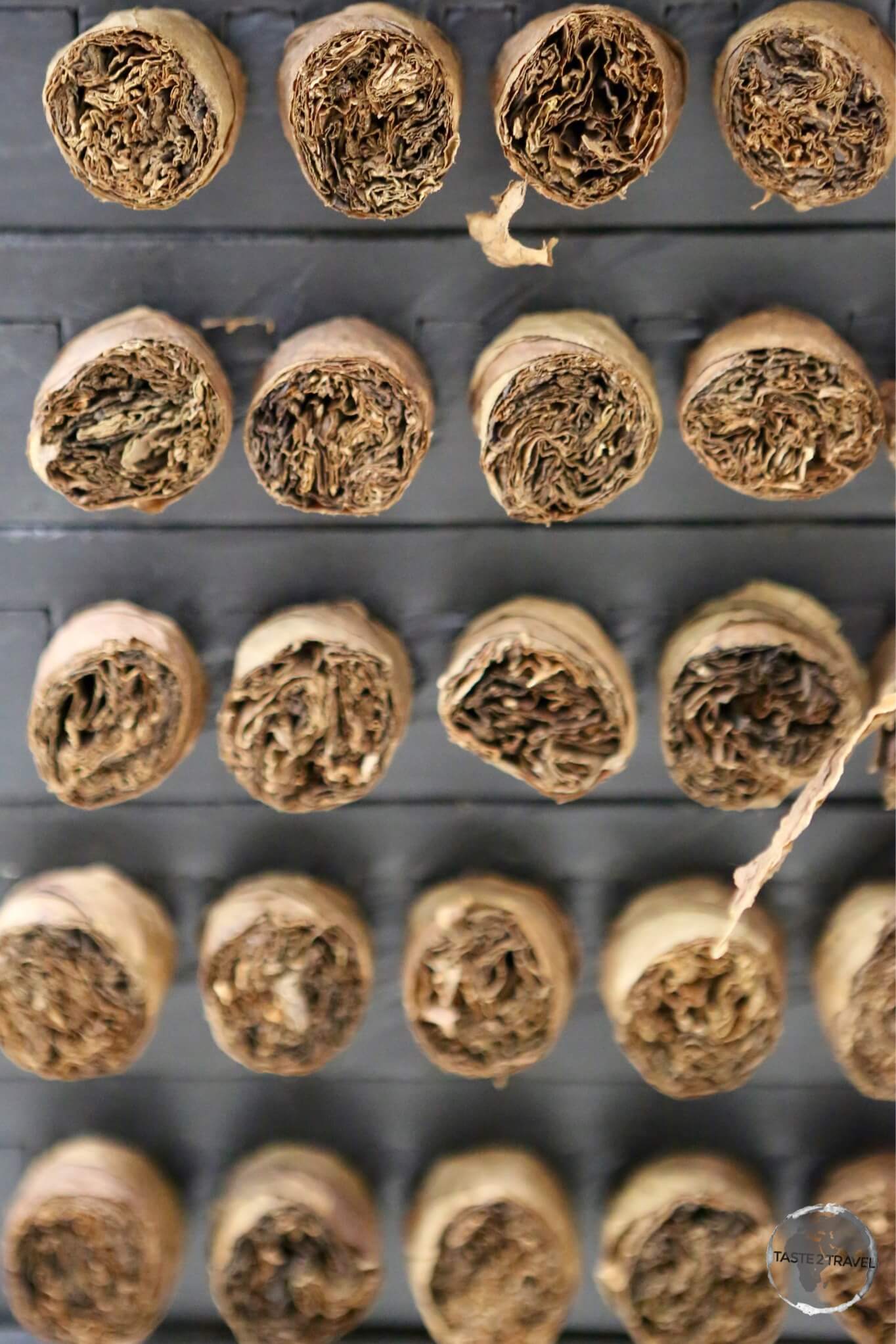Freshly rolled cigars at the Graycliff Hotel in Nassau.