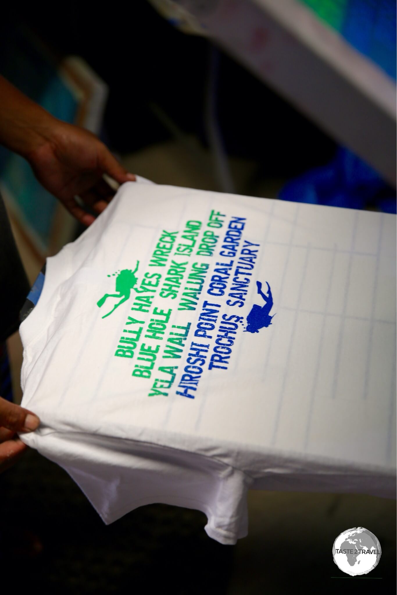 The applied design on the back of the t-shirt.