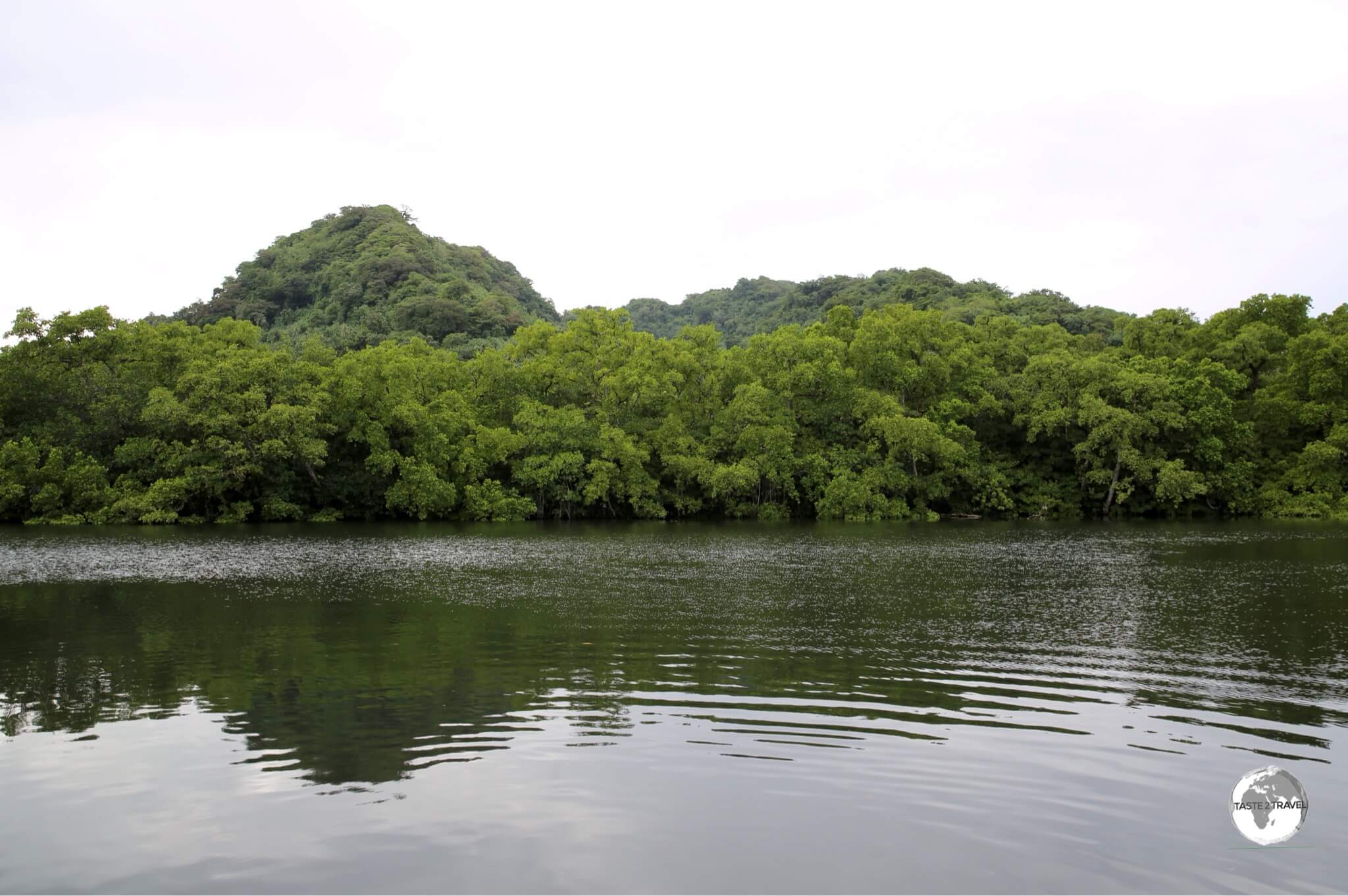 The tranquil view of the mangrove from the deck of Bully's restaurant.
