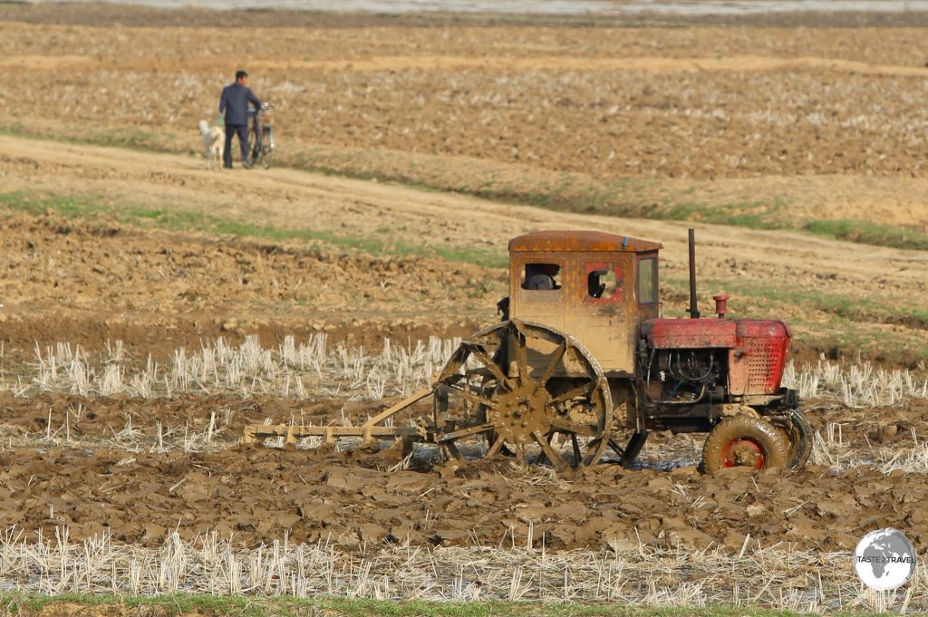 Farming in DPRK is done largely by hand. You occasionally see the odd tractor.