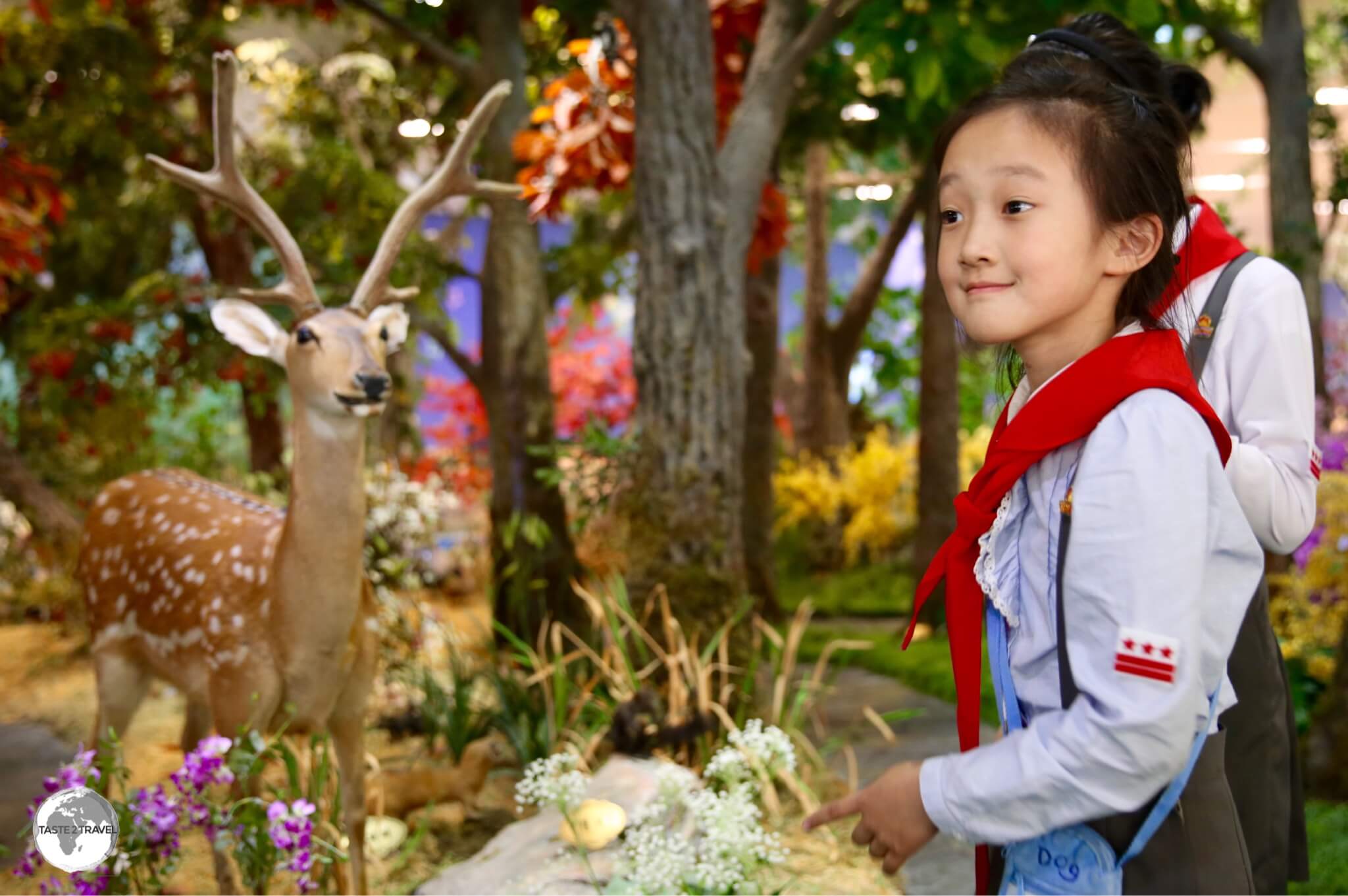 School girls explore a nature exhibit at the DPRK Science & Technology complex in Pyongyang.