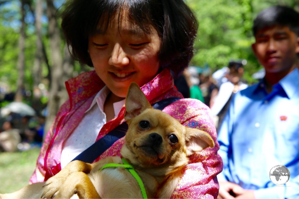 Moran Hill is the place Pyongyang residents flock to during the May Day holiday to picnic, dance, sing Karaoke or spend time relaxing with their favourite companions.