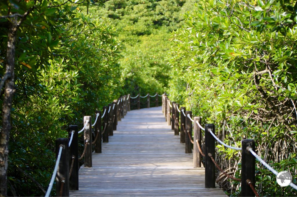 Mangrove walkway at Papago International Resort, Airai state
