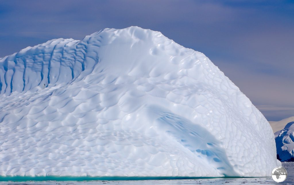 An iceberg glowing in the morning sun in the Graham passage. The rippled affect is formed by water action when the iceberg is below the waterline.