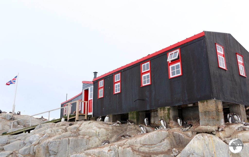Bransfield House at Port Lockroy was constructed in 1944 and today houses a Post Office (the only shopping opportunity in Antarctica) and a small museum.