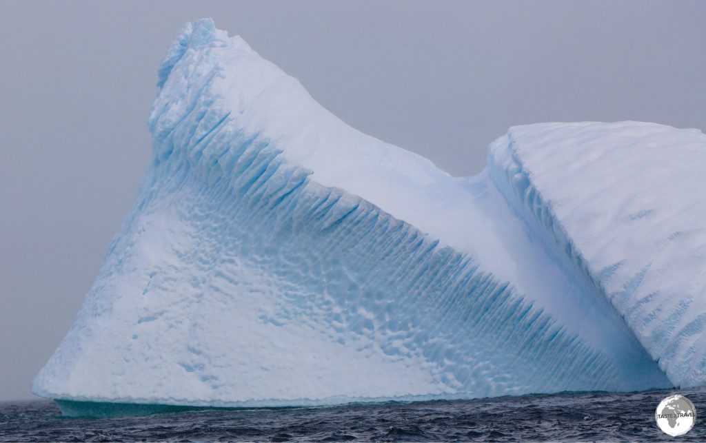 Iceberg at Damoy Point.