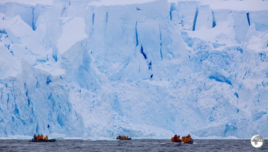 The impressive, soaring ice wall of the glacier in Andvord Bay dwarfs our Zodiacs.