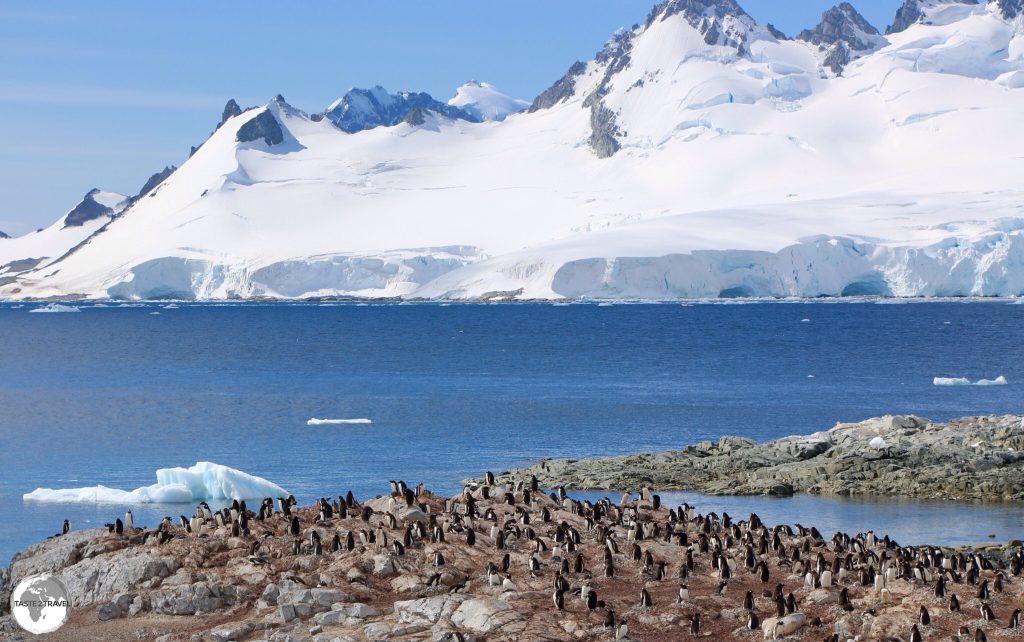 Danco Island is home to a large Gentoo penguin breeding colony and offers panoramic vistas of the Errera Channel.