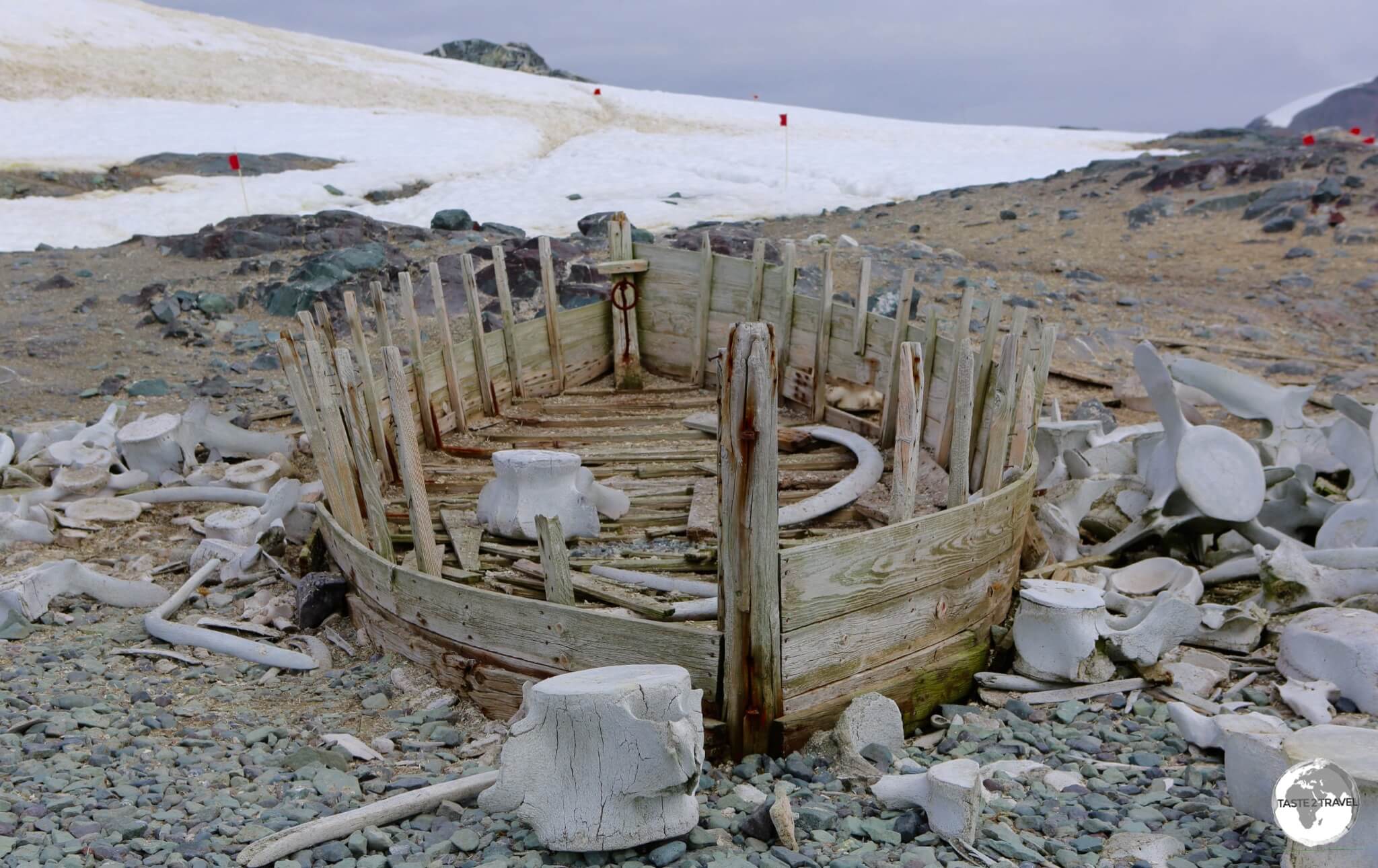 Remnants of an old whaling boat surrounded by whale bones on D’Hainaut Island.