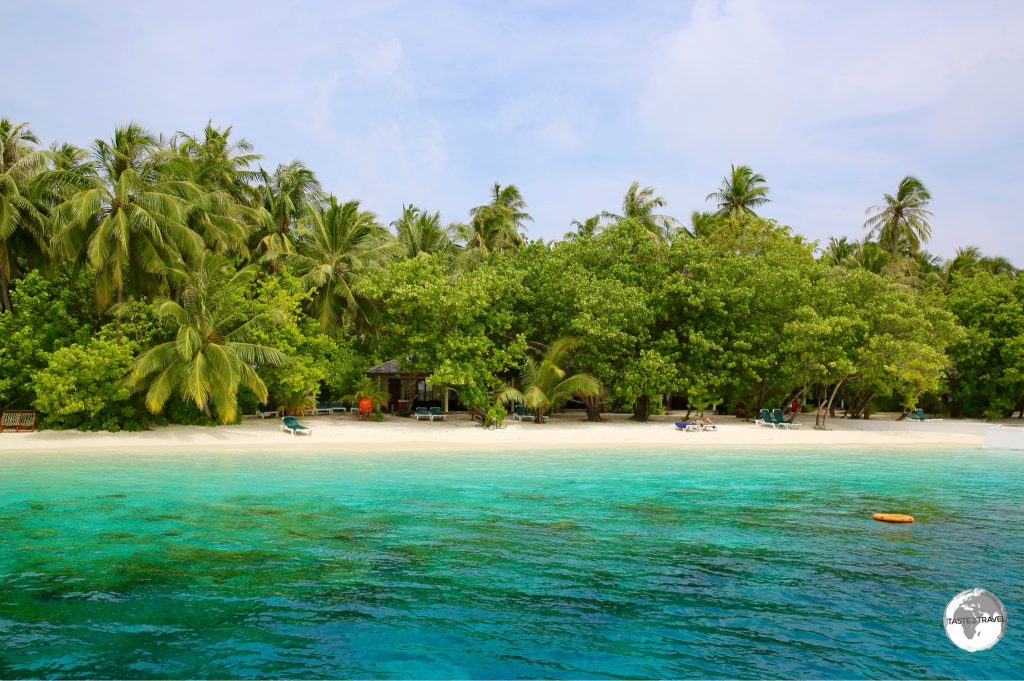 Vilamendhoo is covered in lush greenery and even has it's own plant nursery.
