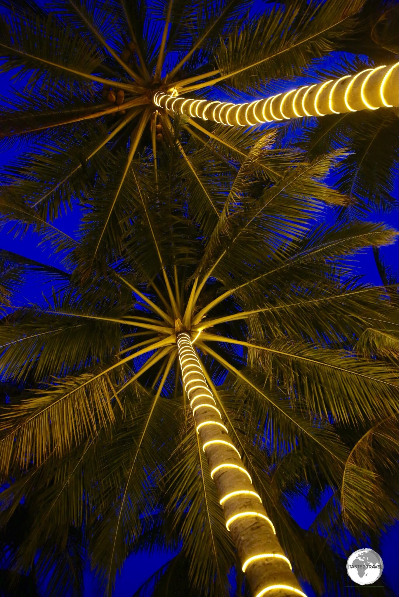 Illuminated palms at the Summer Kitchen & Bakery on Maafushi Island.