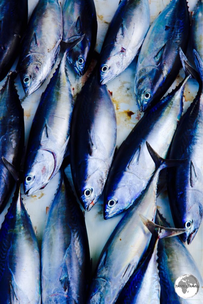 Tuna for sale on Maafushi.