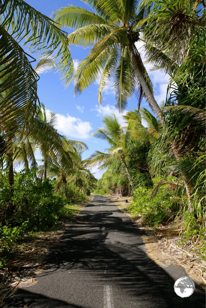 There is one narrow road on Funafuti which meanders along the length of the lagoon side of the island.