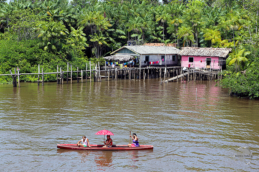A typical Amazon river settlement between Santarém and Belém.