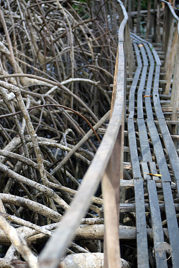 A boardwalk at São Jerônimo Farm on Marajó Island allows you to explore the extensive mangrove swamp.