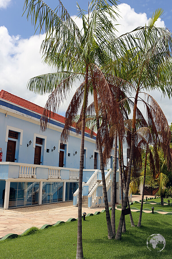 Açaí palms in the grounds of the Casarão da Amazônia hotel on Marajó Island.