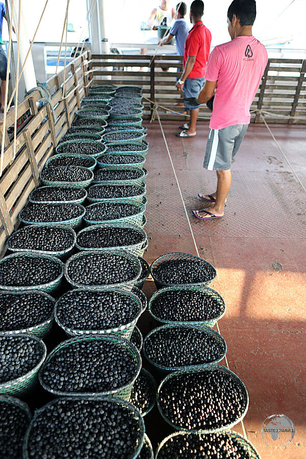 A whole section of the M/V Sao Francisco de Paula was reserved for Açaí transportation.