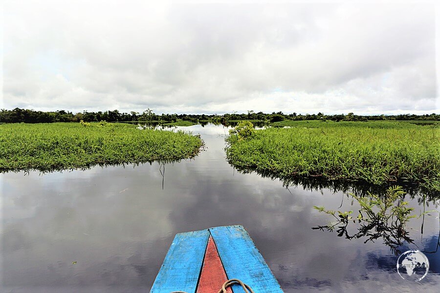 Exploring the Amazon river around Iquitos, Peru.