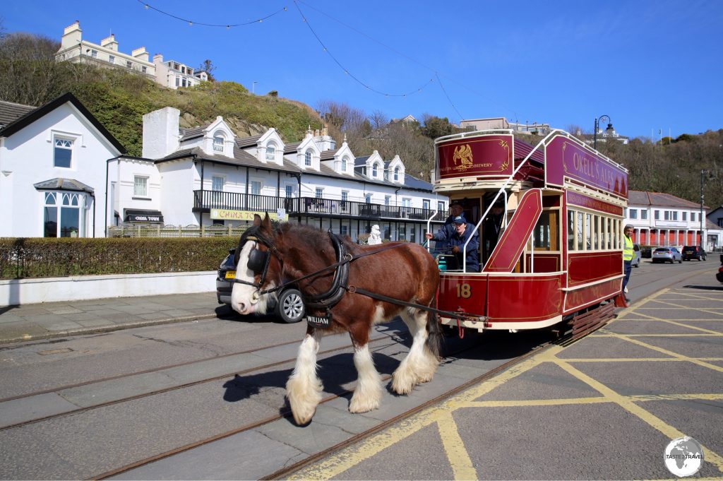 The historic Douglas Bay Horse Tramway is a great way to take in the sights of the Capital’s waterfront.