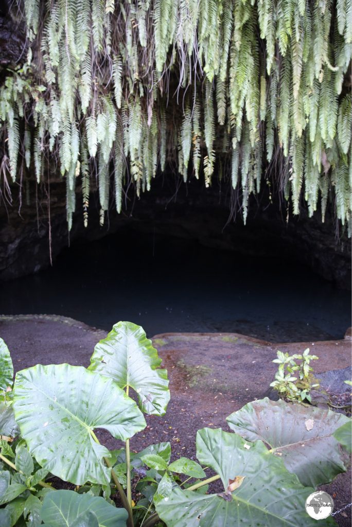 The incredibly lush Maraa Grotto.