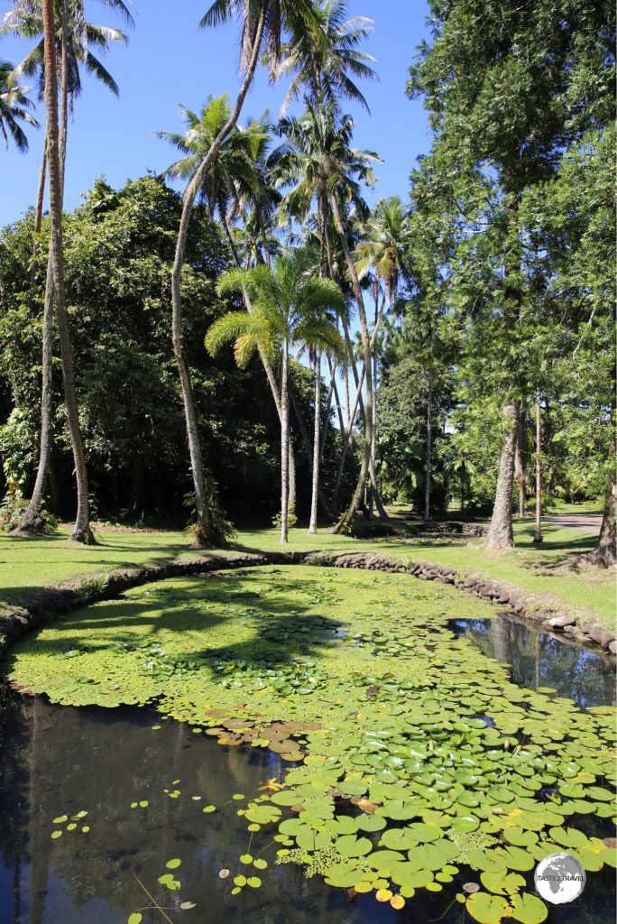 The grounds of the Harrison Smith Botanical Garden.