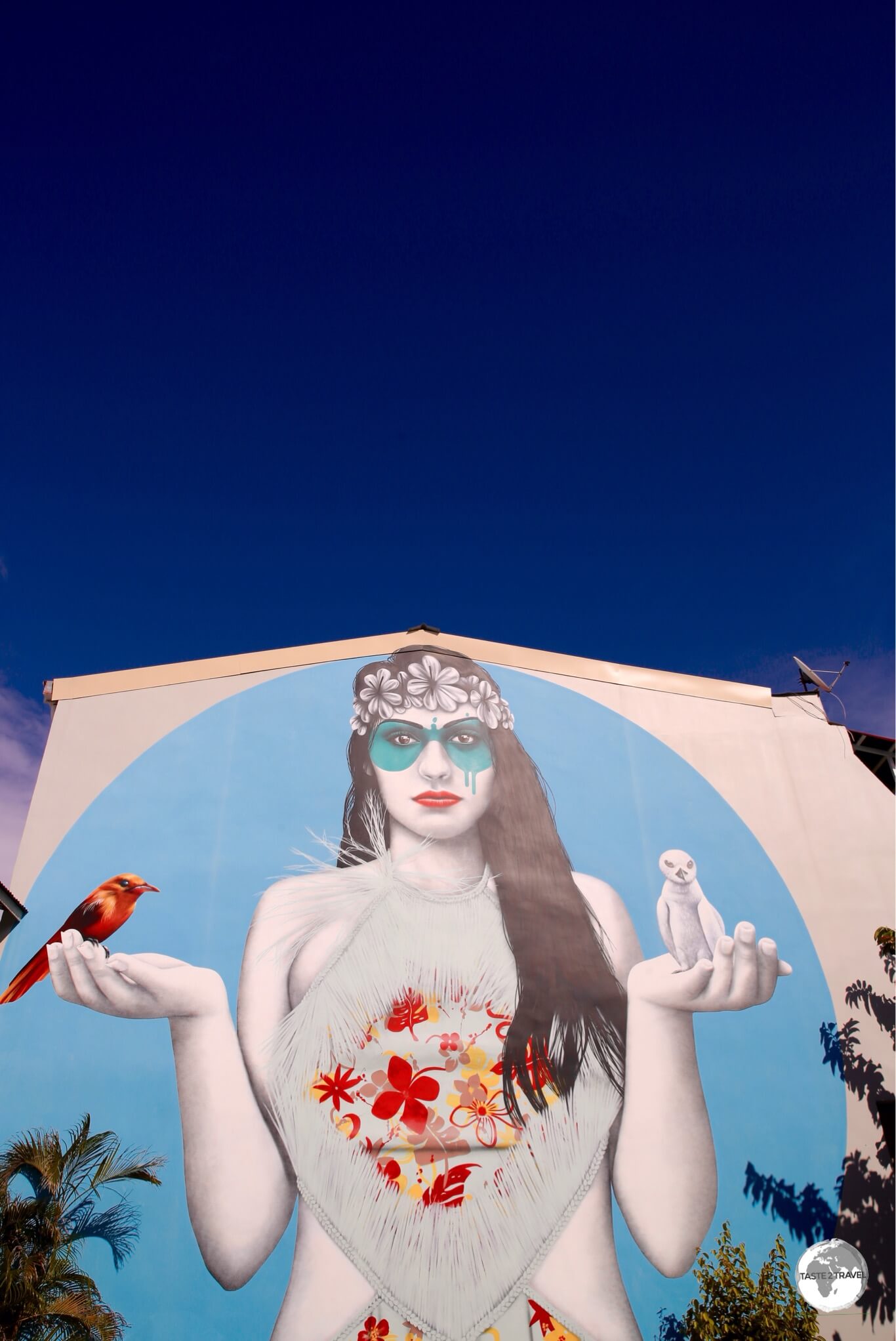 One of the many examples of incredible street art which adorn the buildings of Papeete.
