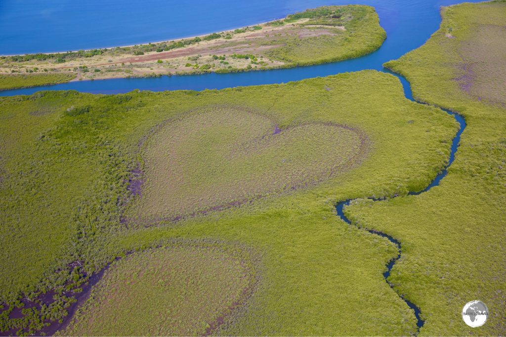 The famous 'Heart of Voh' is a natural heart-shaped bog in the middle of a mangrove swamp.