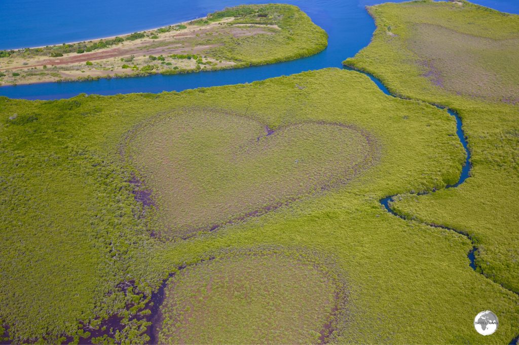 The 'Heart of Voh' is a naturally occuring heart-shaped bog inside a mangrove swamp.