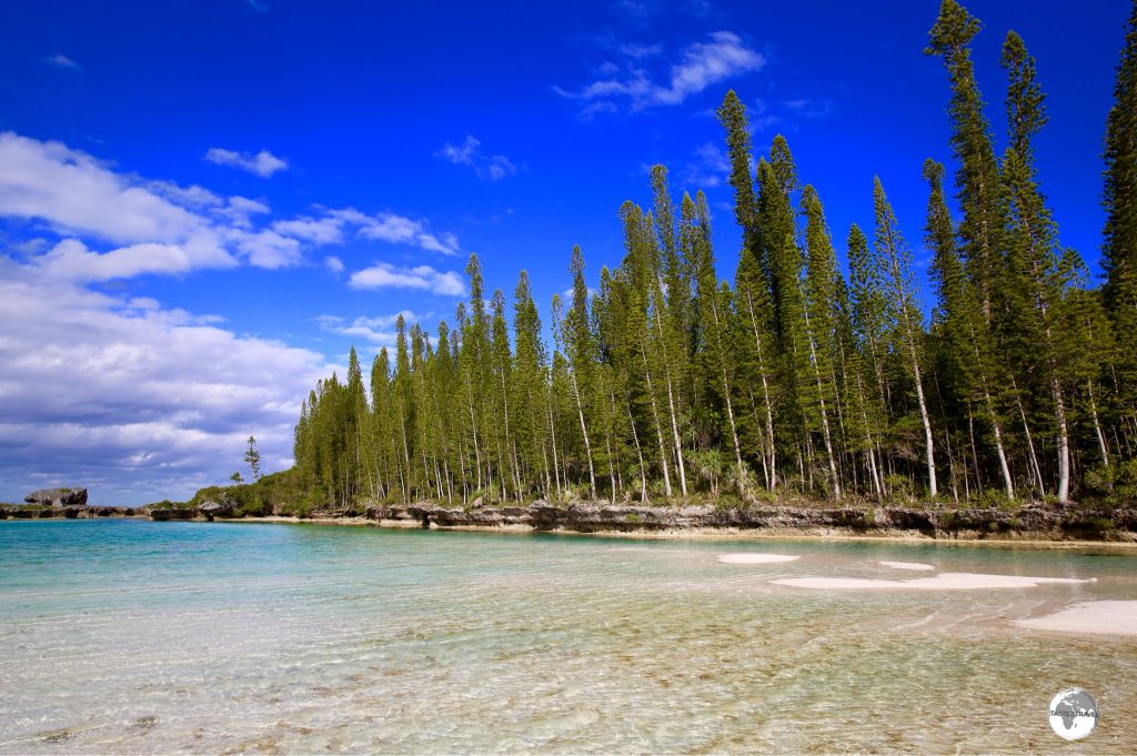 The Isle of Pines was named by Captain James Cook who was intrigued by the unique, towering Araucaria pine trees, which can be found all over the island.
