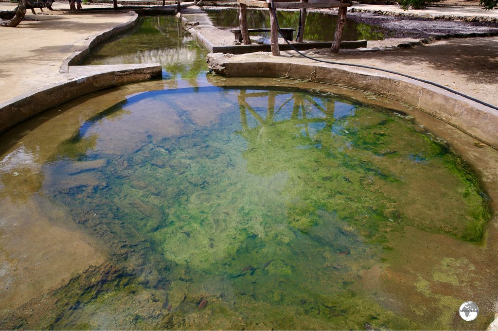 The thermal pools at Takara Hot Springs.