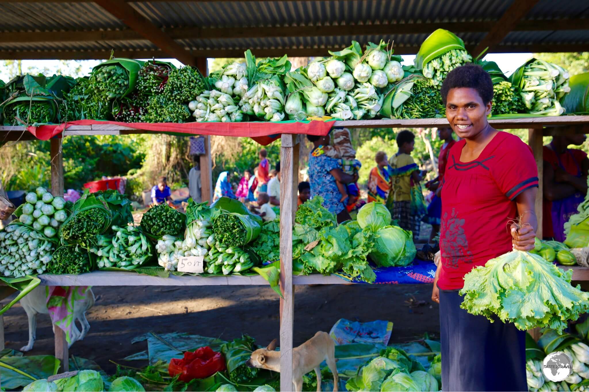 A roadside market on Tanna.