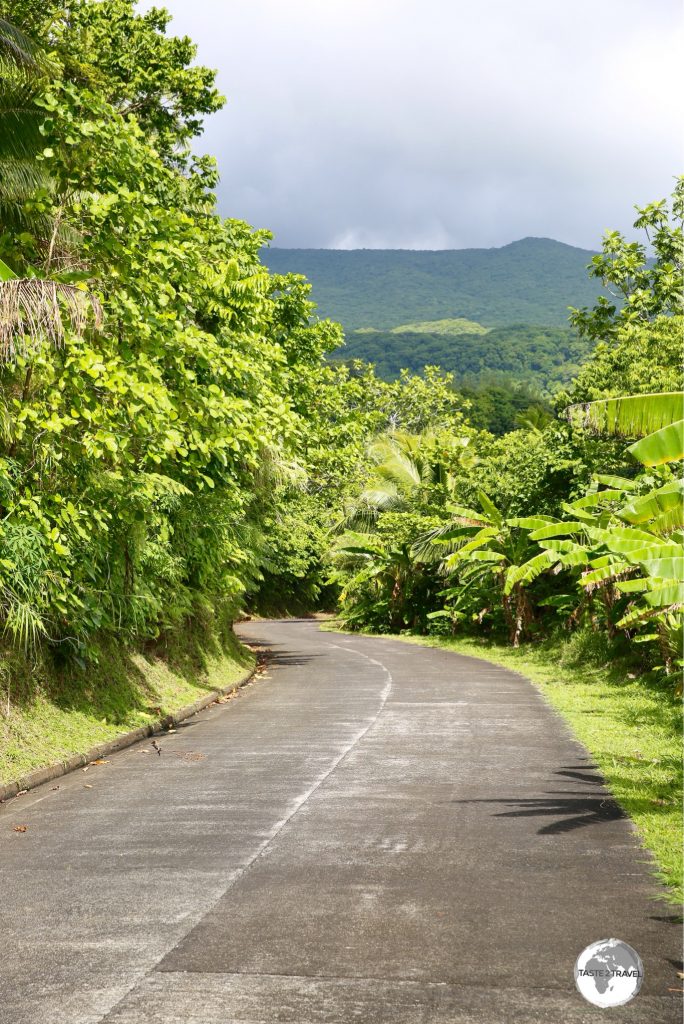 The one, concrete road on Ta'u runs along the north shore of the island, connecting the half dozen villages on the island.