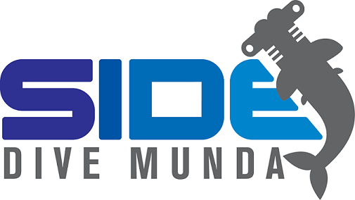 Dive Munda - possibly my favourite dive operation in the whole world!