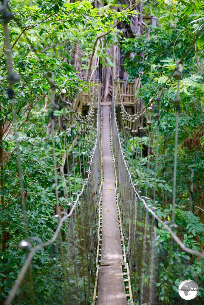 Suspended 40 metres above the rainforest floor, the shaky Canopy Walkway is unique in Samoa and can be challenging for those with a fear of heights.