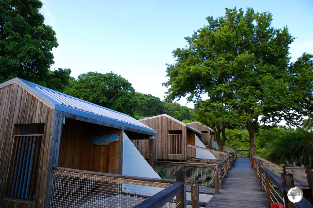 The O’lolo Hôtel overlooks Sakouli beach which is home to some impressive Baobab trees.