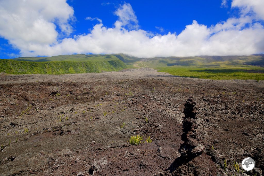 One of many huge lava fields which flow down to the south coast of Reunion from the Piton de la Fournaise.