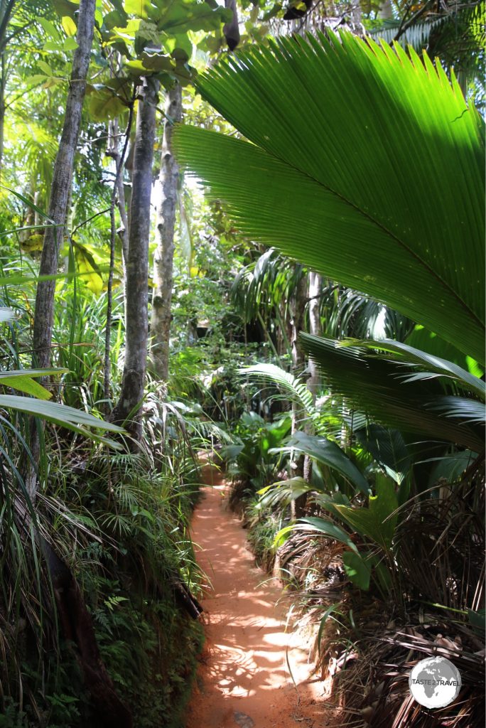 One of many walking trails in the Vallee de mai.