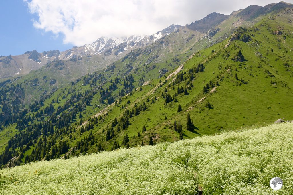 Ideal for hiking and day trips, the Tien Shan mountain range on the outskirts of Almaty.