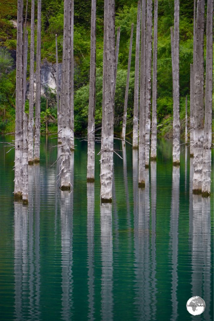 The eerie looking Lake Kaindy is famous for it’s submerged forest.