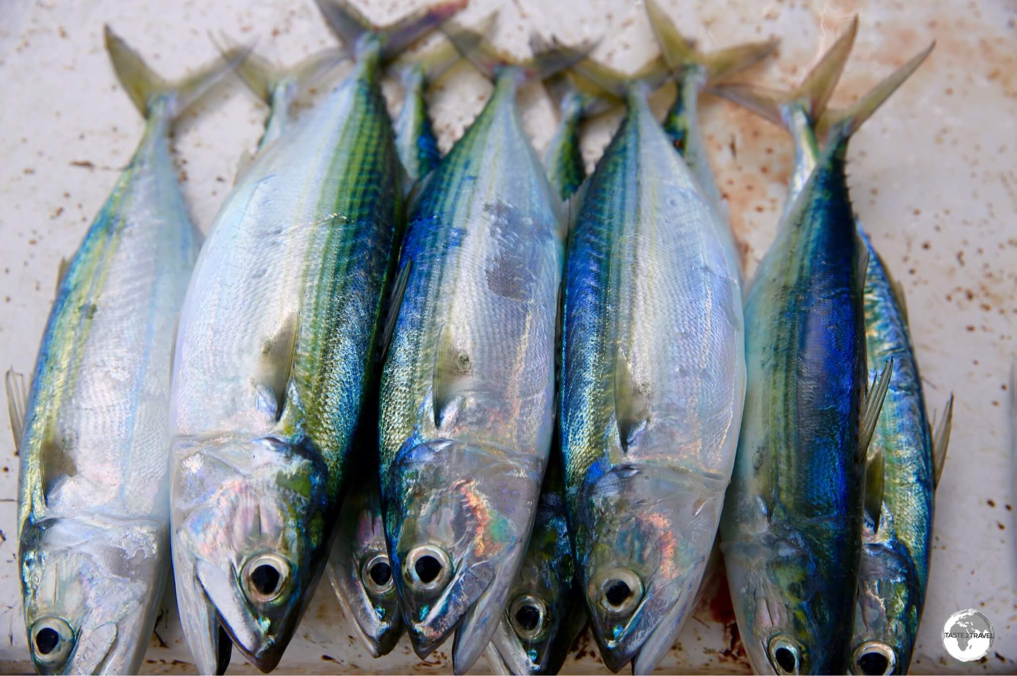 Local fish can be found on most restaurant menus.