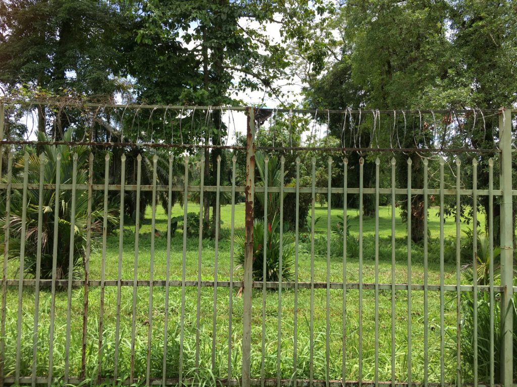 The Botanical Garden in Lae, which is guarded by a security guard, is completely surrounded by a security fence which is topped with razor wire.