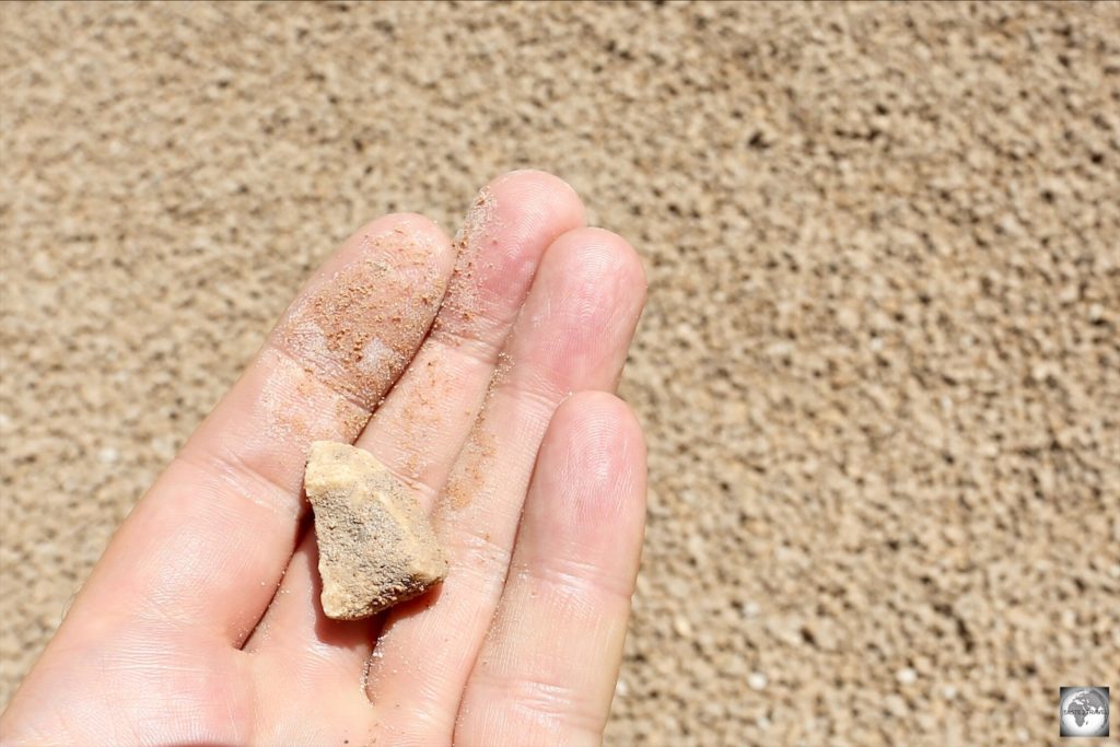 Me holding a piece of phosphate rock at a mine site on Topside, against a sea of phosphate.